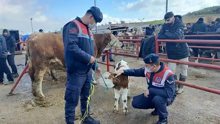 Hayvan pazarında denetim