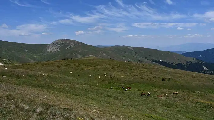 Ilgaz yaylaları güzelliğiyle mest ediyor