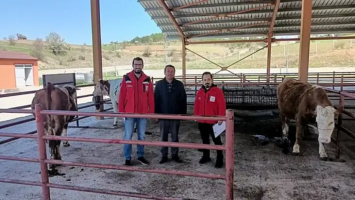 Hayvanları telef olan çiftçiye inek hediye edildi