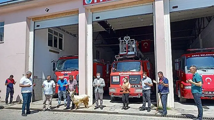 Hizmet araçları için kurban kesildi