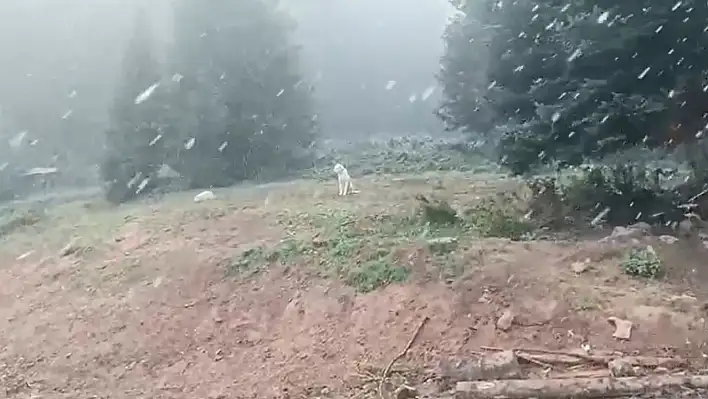 Ilgaz Dağı'nda kar yağışı başladı