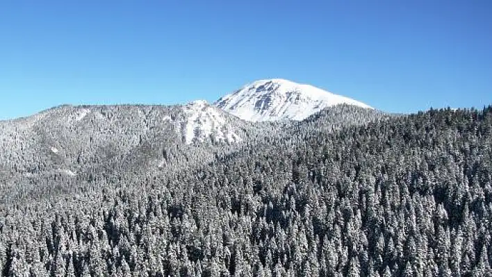 Ilgaz'da Kar Yağışı Başladı