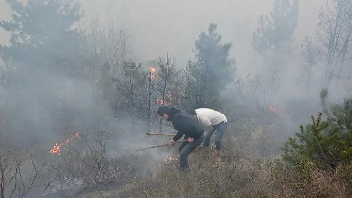 İnebolu'da orman yangınına müdahale ediliyor