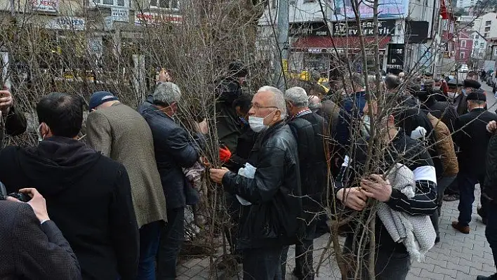 İnebolu'da vatandaşlara fidan dağıtıldı