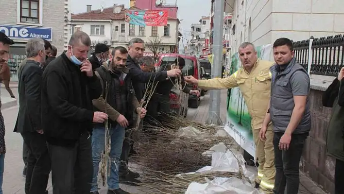 İnebolu'da ücretsiz meyve fidanı