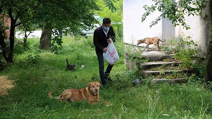 Kanala atılan görme engelli köpeğe treyler operatörü sahip çıktı