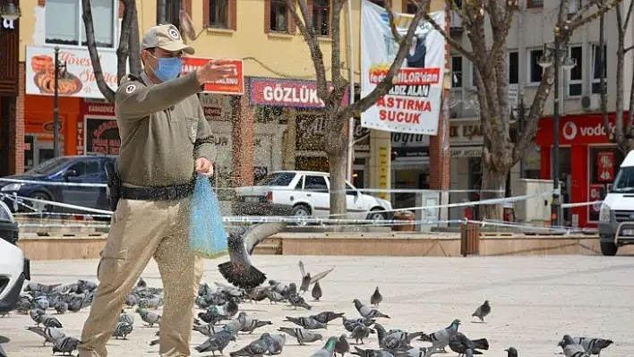 Kapanmanın ilk gününde polisler sokak hayvanlarını besledi