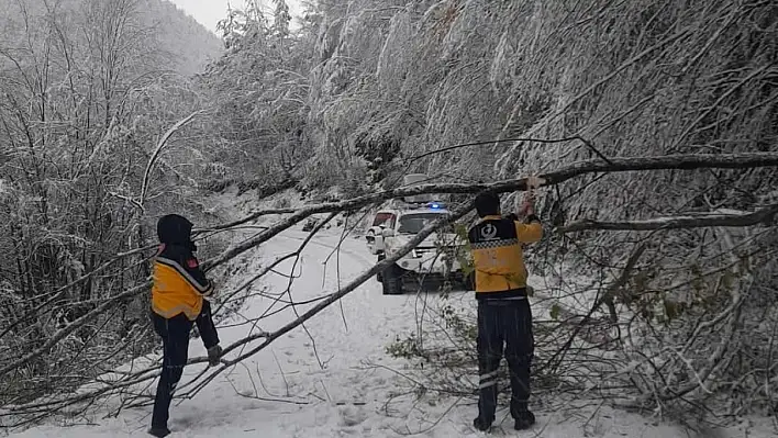 Paletli ambulansla hastaneye ulaştırıldı