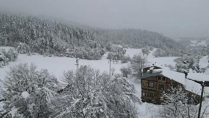 Kar yağışıyla ormanlar beyaz örtüyle kaplandı