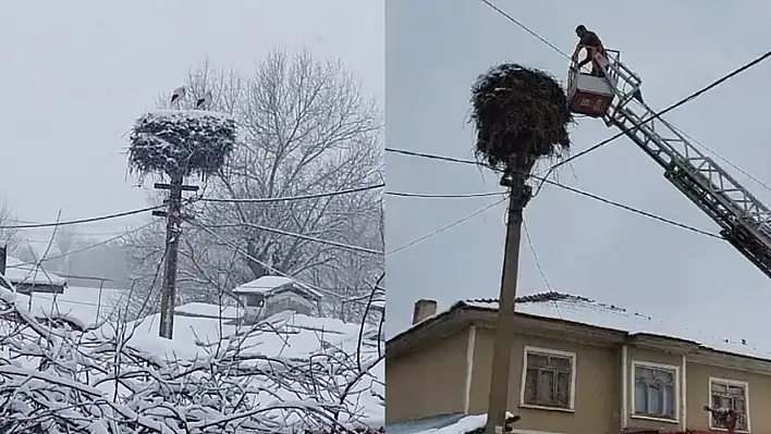 Kara yakalanan leylekleri itfaiye ekipleri besledi