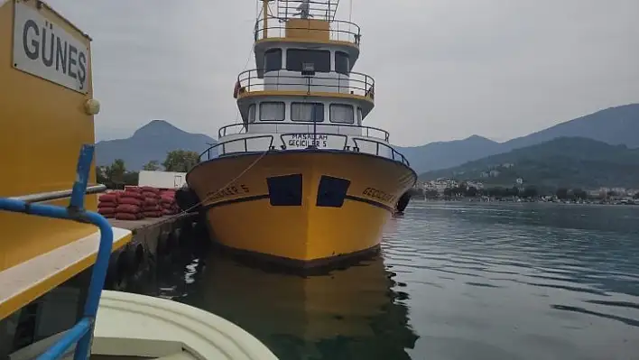 Karadeniz'de balık bolluğu