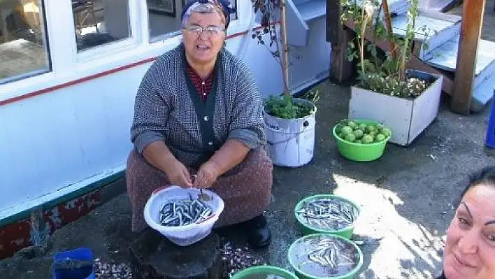 Karadeniz'de Hamsi Bolluğu 