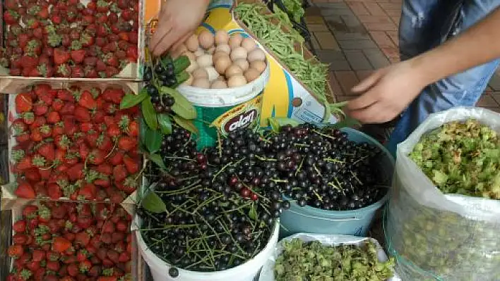 Karayemiş, kansere karşı etkili