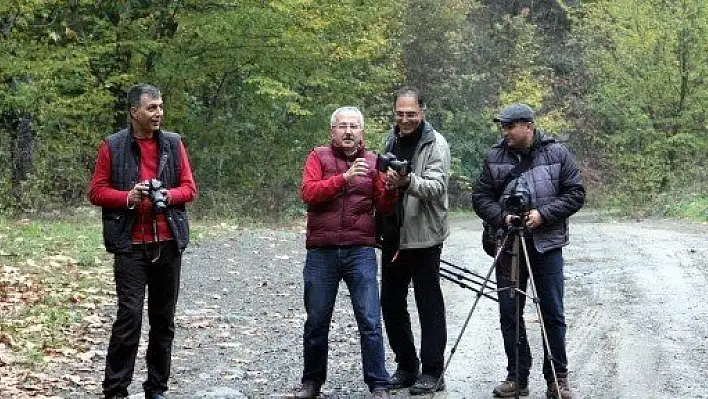 KASFOT, Yenice'de Foto Safari Yaptılar