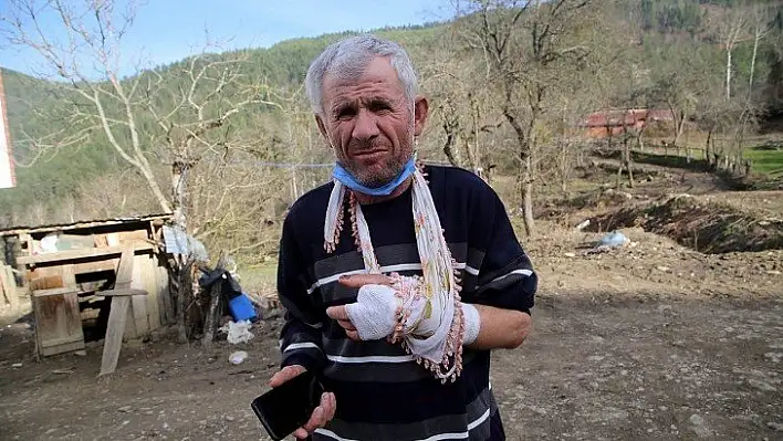 Kastamonu'da ayı saldırısına uğrayan şahıs tedavi edildi