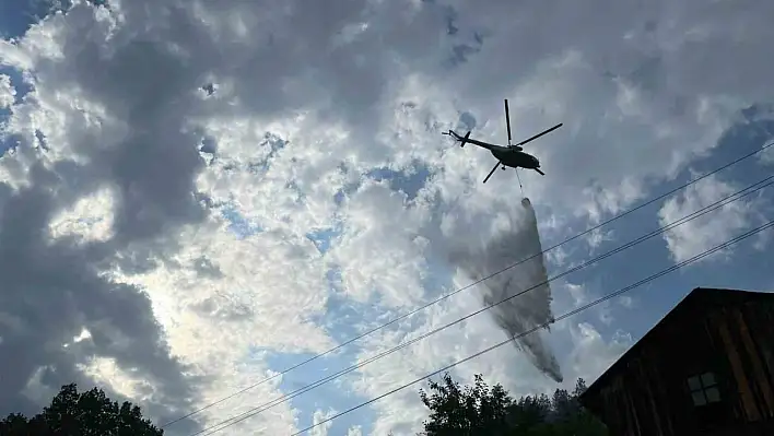 Kastamonu'da bir orman yangını daha