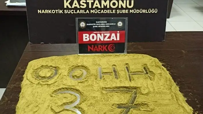 Kastamonu'da bonzai maddesi ele geçirildi