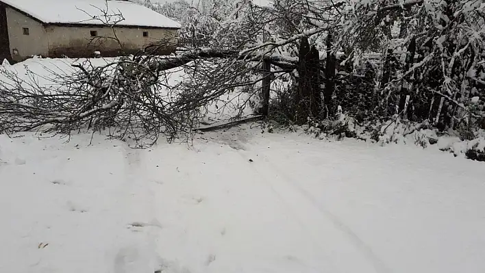 Kastamonu'da karla mücadele erken başladı