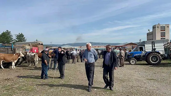 İhsangazi canlı hayvan pazarına yoğun ilgi