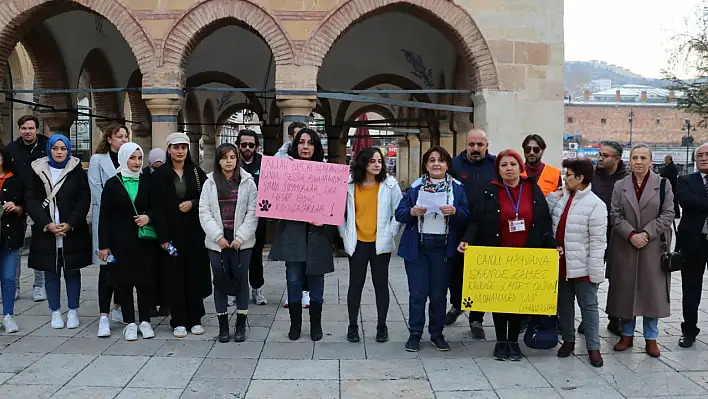 Kastamonu'da hayvanseverlerden kınama