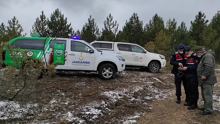 Kastamonu'da kaçak avcılıkla drone destekli mücadele ediliyor