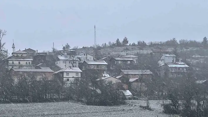 Kastamonu'da kar yağışı başladı