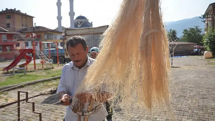 Kastamonu'da kenevir ekimi başladı