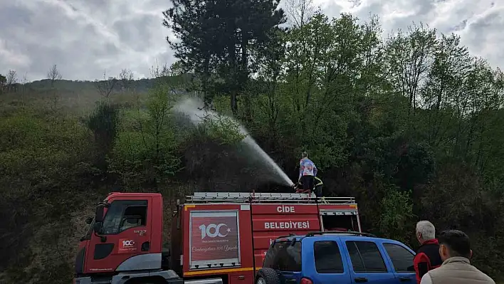 Cide'de korkutan yangın! Büyümeden söndürüldü