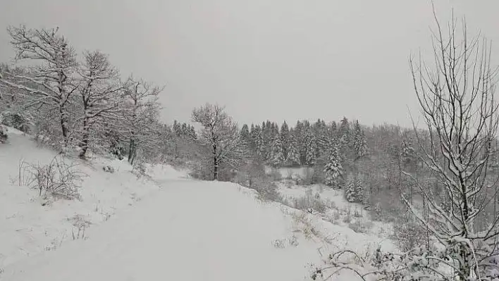 Kastamonu'da köylerin yarısının yolu kapalı