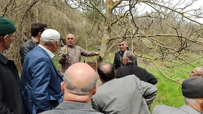 Budama ve aşılama eğitimi