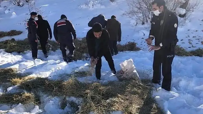 Daday'da yaban hayvanları için doğaya yem bırakıldı