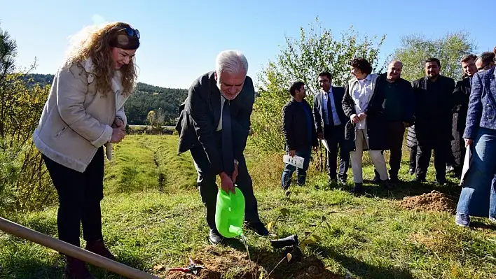 Kastamonu Üniversitesinde 100 fidan dikildi