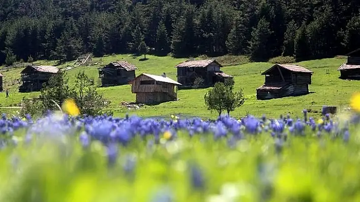 Kastamonu yaylaları ziyaretçilerini bekliyor