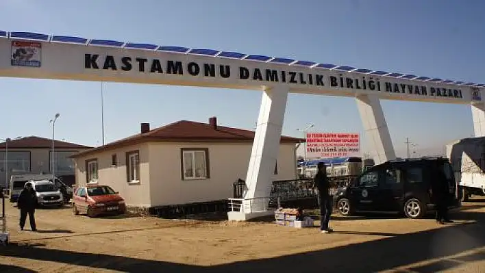 Kastamonu Canlı Hayvan Pazarı faaliyete geçti