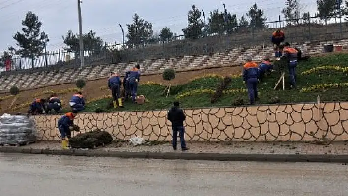 Kastamonu Daday Yolunda Örnek Peyzaj Çalışması 