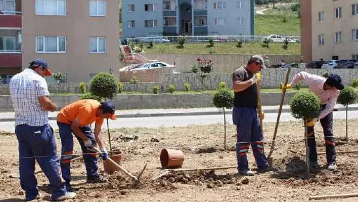 Kastamonu Sıcaklardan Kavruldu