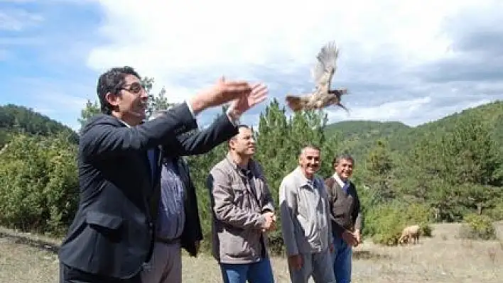 Kastamonu'da 1000 Adet Keklik Doğayla Buluştu