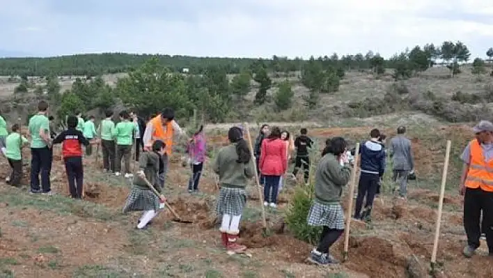 Kastamonu'da Öğrenciler, Fidan Dikti