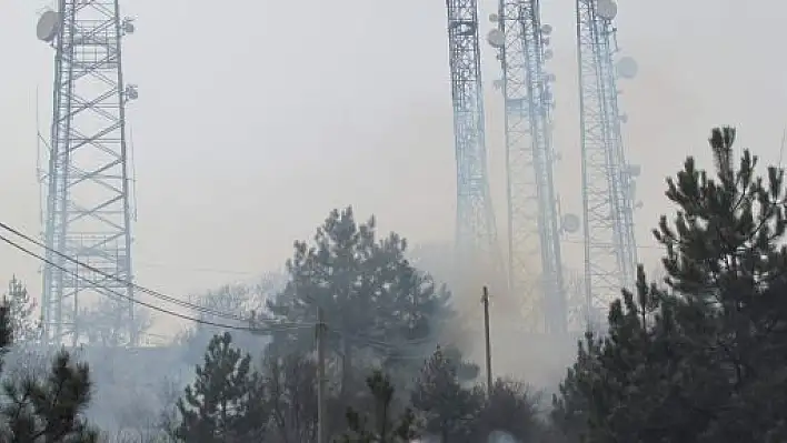 Kastamonu'da Orman Yangını