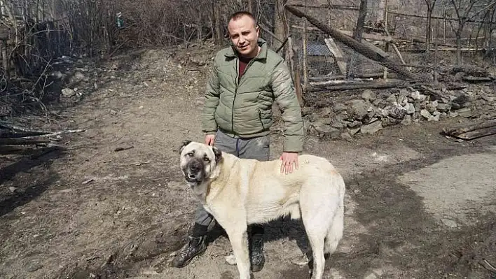 Hayatlarını kurtaran köpeği gözyaşları içinde sevdiler