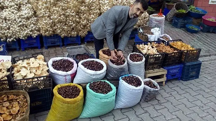 Kestane pazardaki yerini aldı