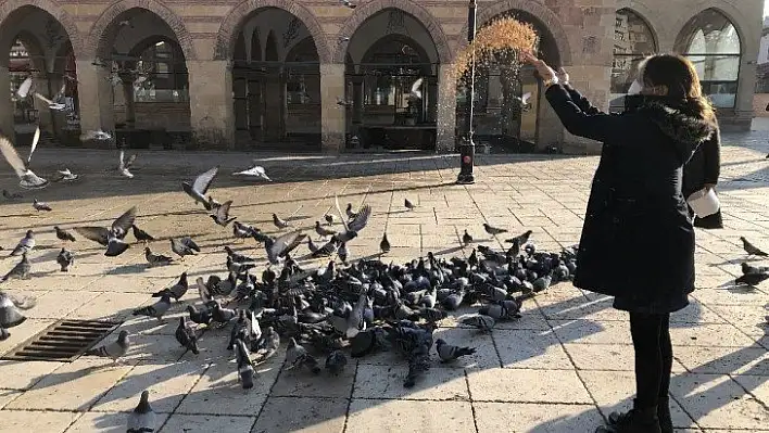 Kısıtlamada özel izinle kuş ve sokak hayvanlarını beslediler