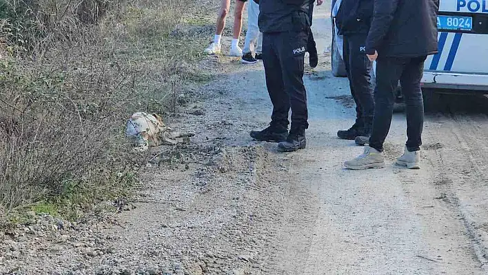 Köpekleri ölüme terk eden şahıslar yakalandı