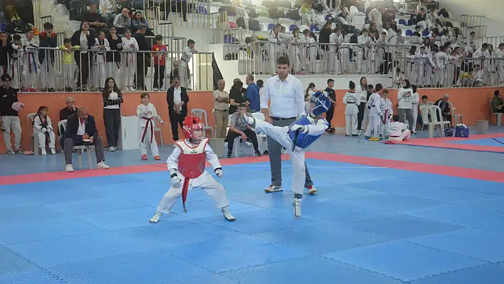 Küre'de taekwondo şöleni