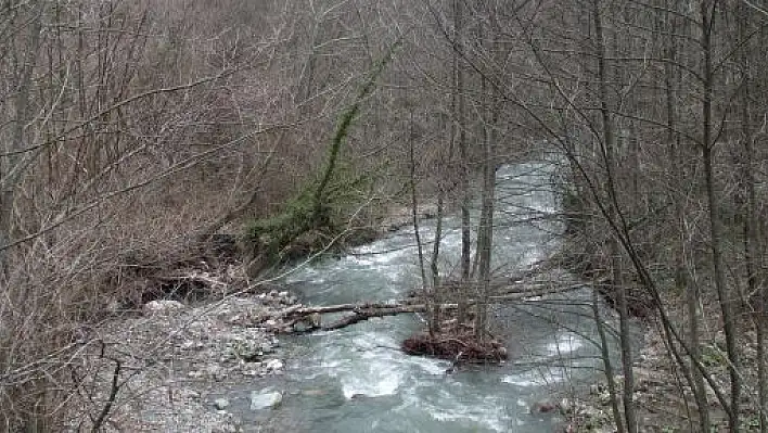 Kuzköy HES'e Dava Açıldı