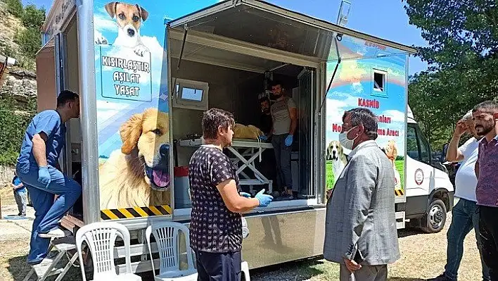 Mobil kısırlaştırma aracı, Araç'ta hizmet vermeye başladı