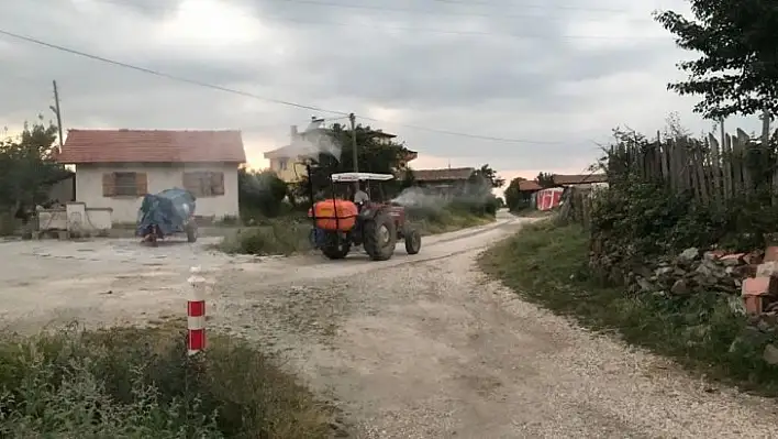 Muhtar Göksu, köyü sineklere karşı ilaçlıyor