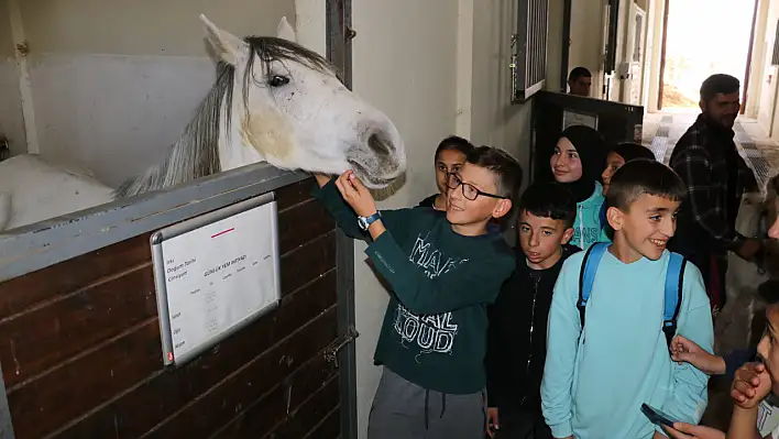 Öğrencilere hayvan sevgisi aşılanıyor