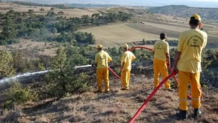 Orman İşçileri, Yeni Bir Talepte Bulundu