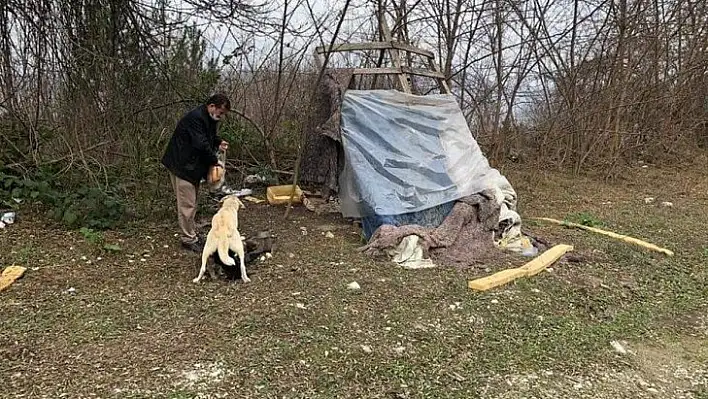 Pandemide aç kalan sokak hayvanları unutulmadı